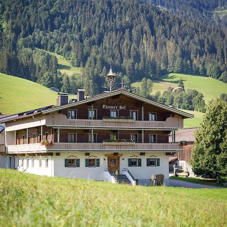 Appartment Thumerhof Wildschoenau Нийдерау Екстериор снимка